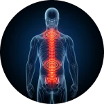 Dr. Leonardo Yukio | Especialista em Cirurgia de Coluna